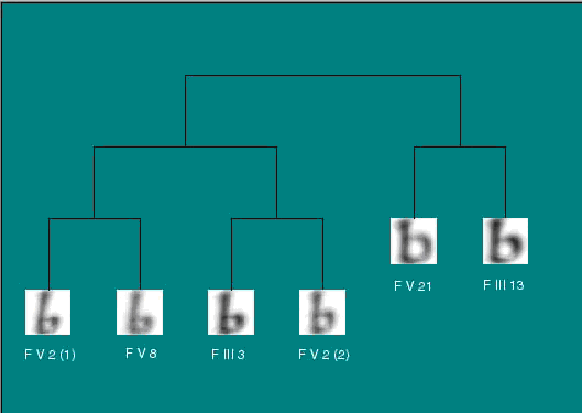 Dendogram of an example letter 〈b〉.