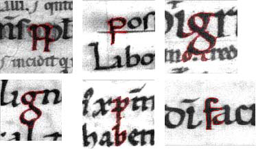 Difficulties in the script (biting, ruling, interlinear glosses, conflicting lines).