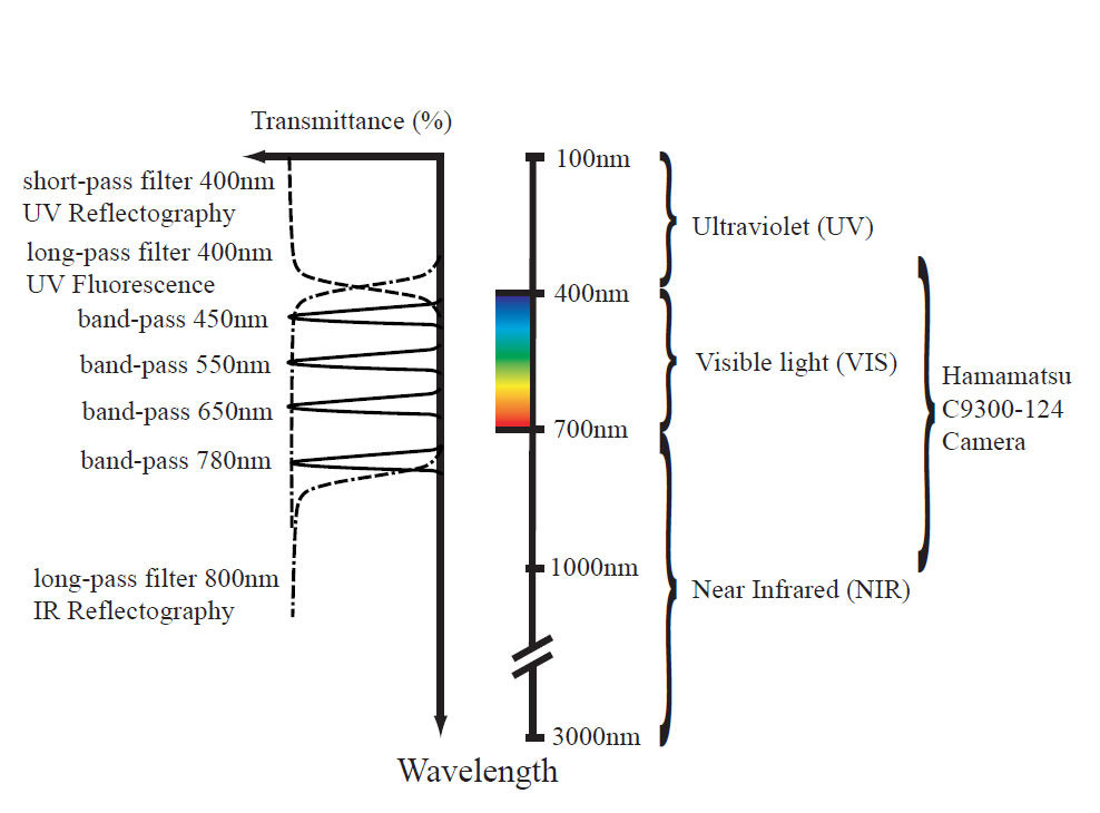 Figure 2: Spectral Ranges of the Optical Filters