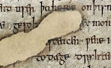 Untouched f. 120r of the Exeter Book.